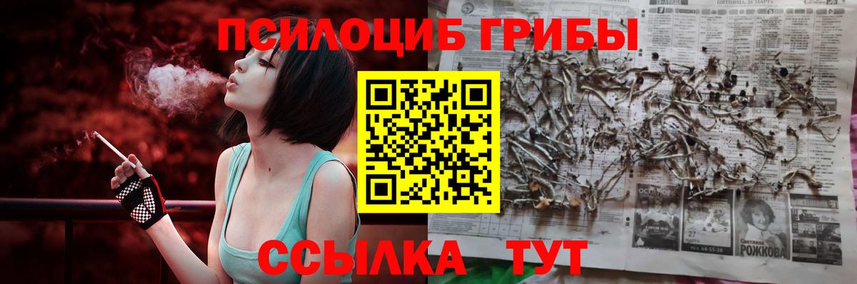 Псилоцибиновые грибы мицелий  Вход с VPN  Псилоцибиновые грибы Cubensis  Чистополь 